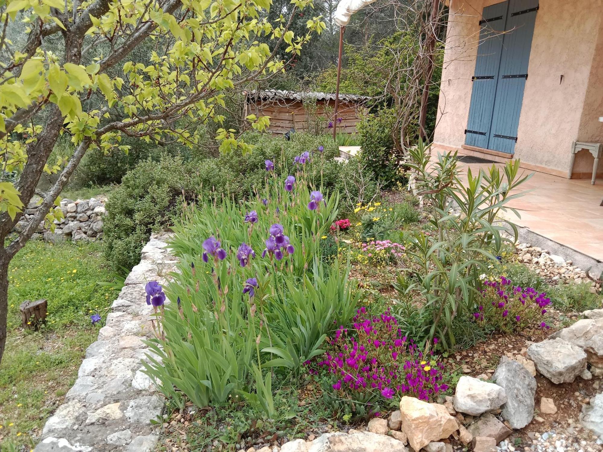 Bed and Breakfast La Farigoulette Lorgues Exterior foto